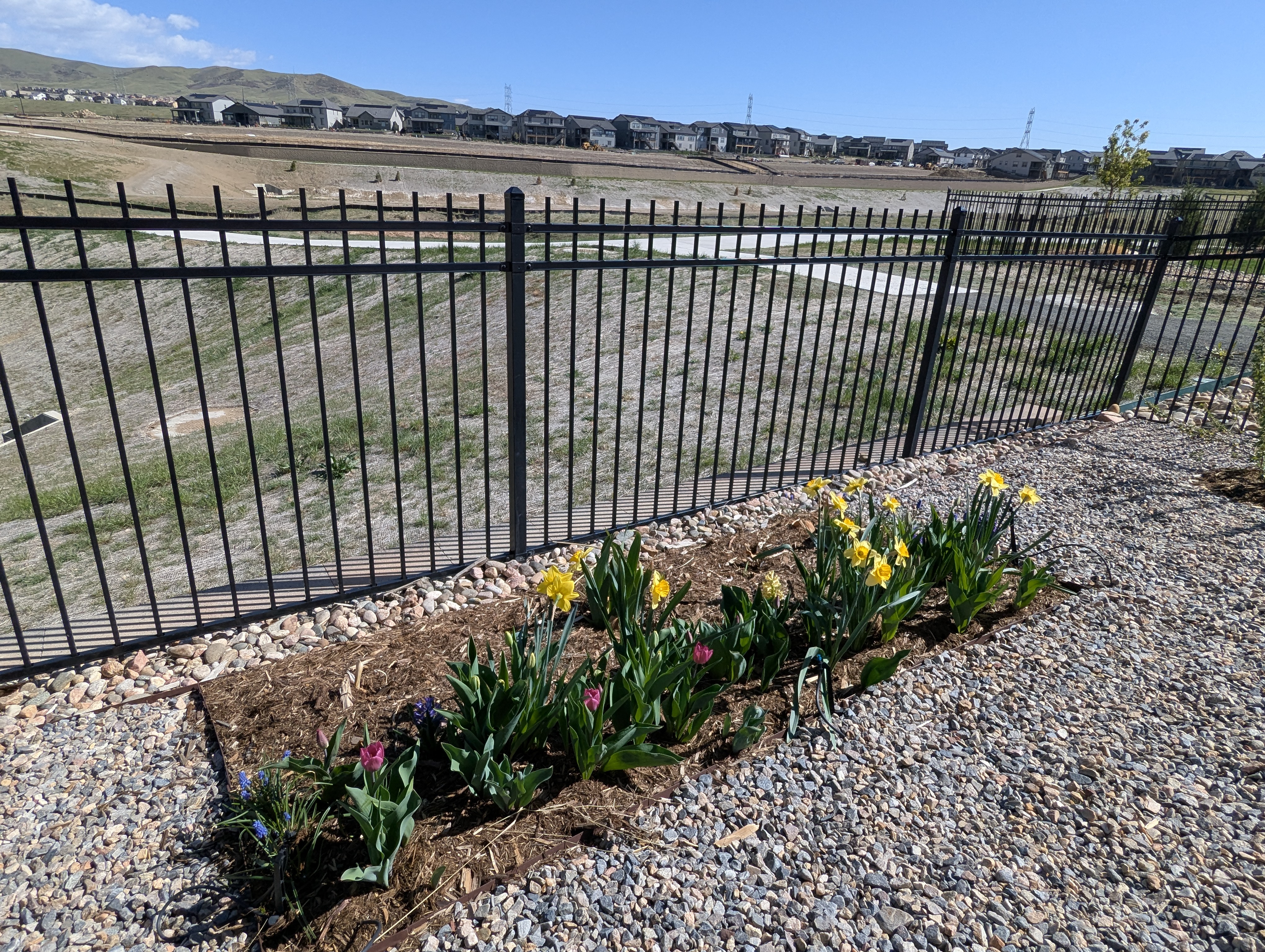 Garden, Flowers, Morrison, Colorado